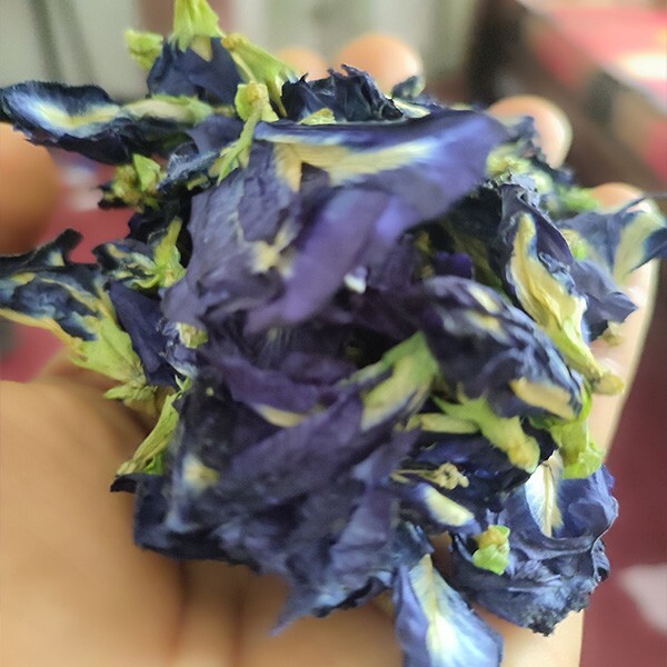 Indigo blooms : The ultimate dried blue pea flower emporium