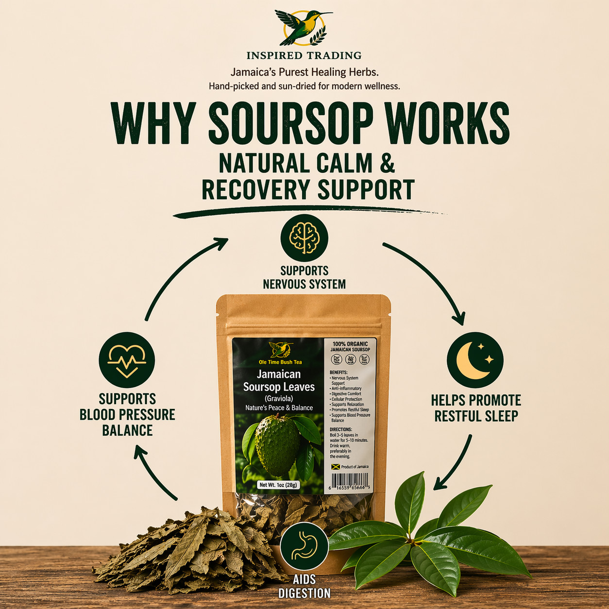 Authentic Jamaican Soursop Leaf-Jamaican Bush Tea • Available in US & Canada