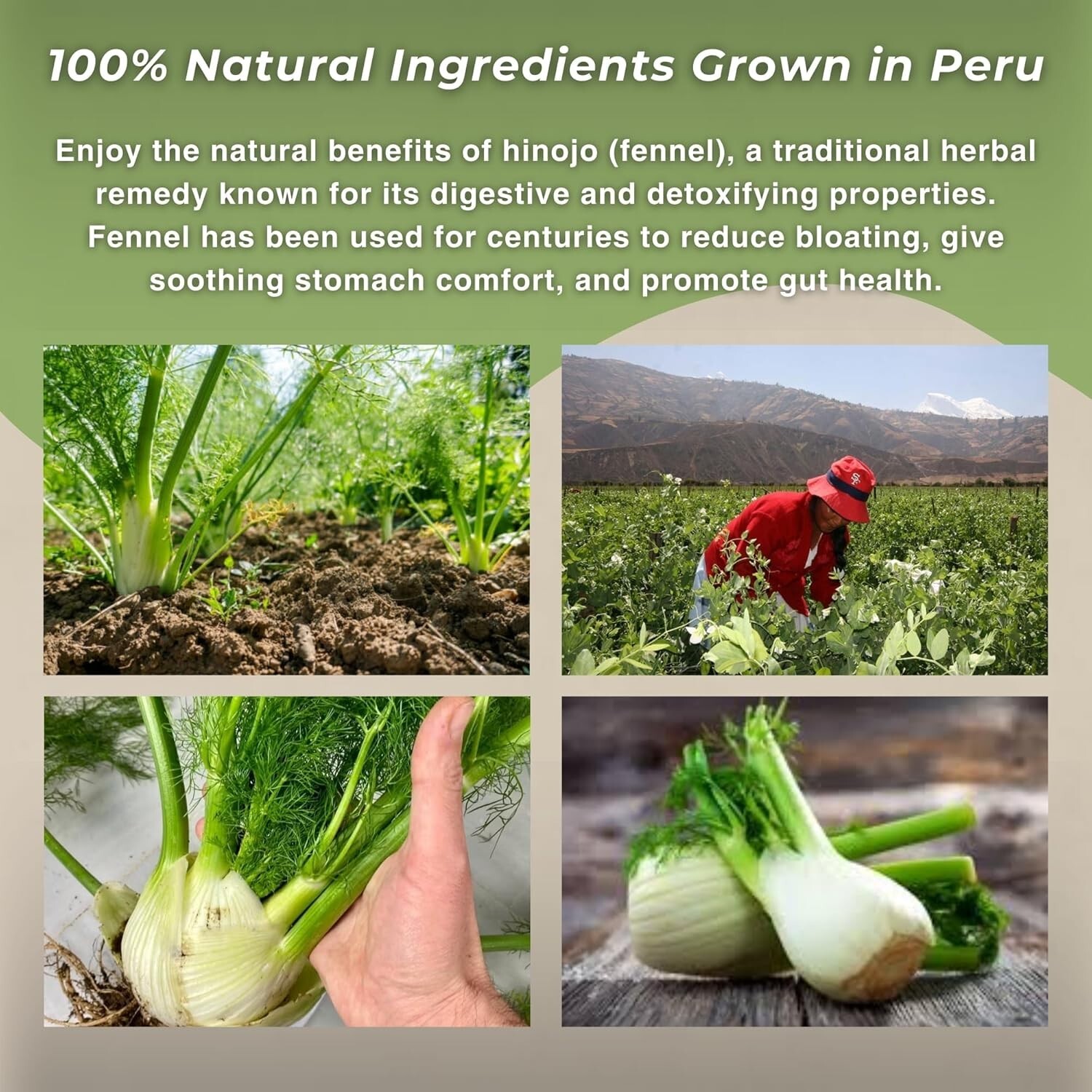 Hinojo 40g Fennel 1.4oz Herbal Tea from Peru