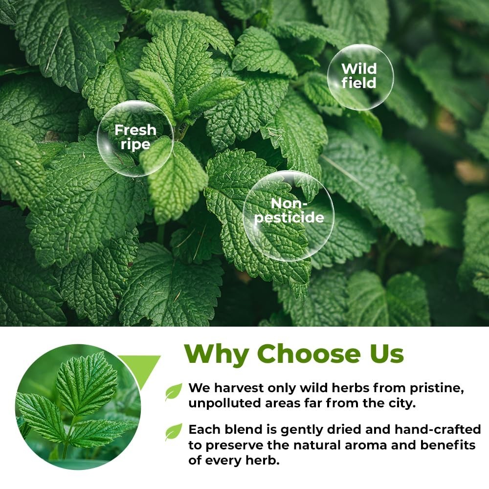 Urtica Dioica Nettle Leaf Tea Bags – 100 Count