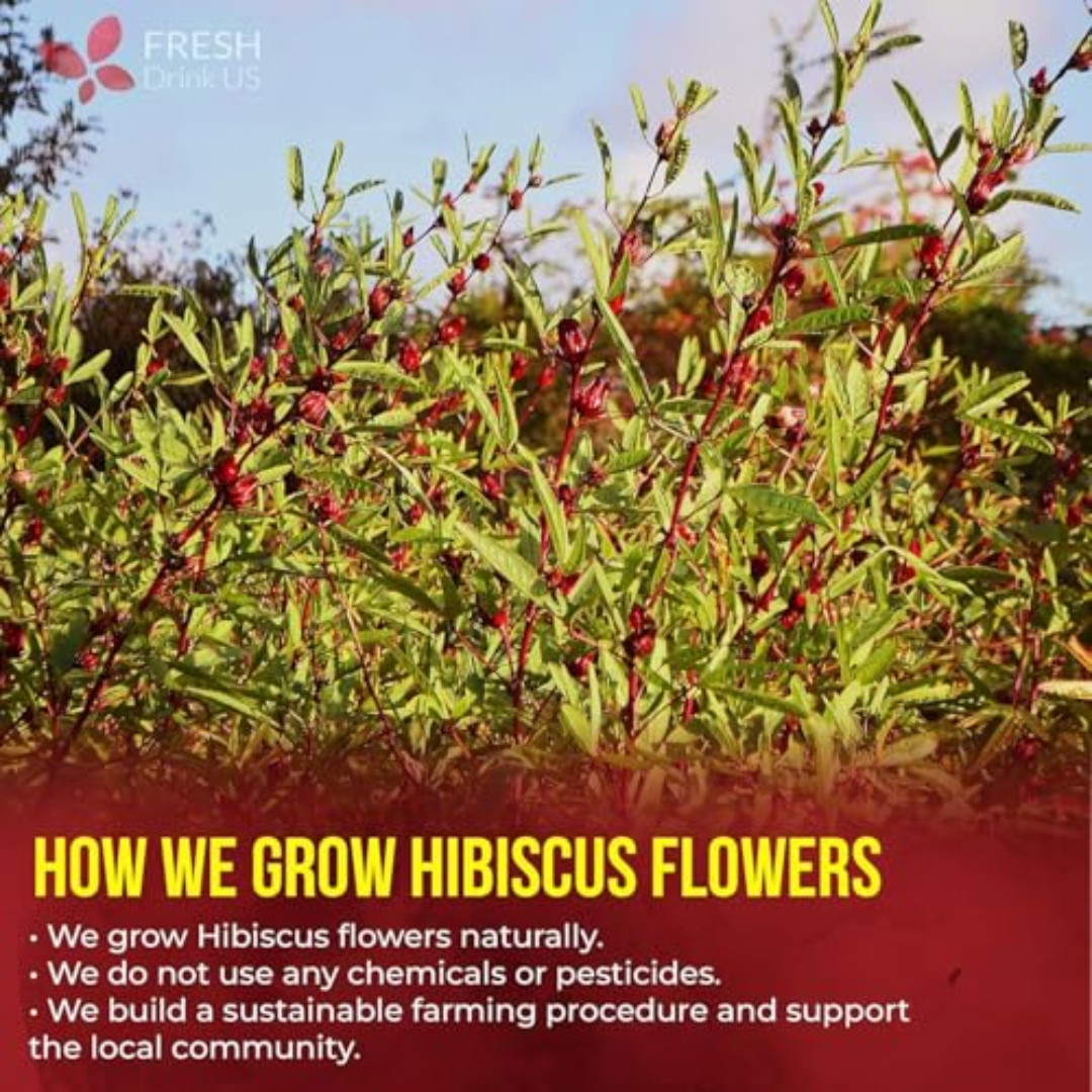 , Premium 140 Hibiscus Flowers Tea Bags, 100% Natural, Handmade & Pure from Hibi