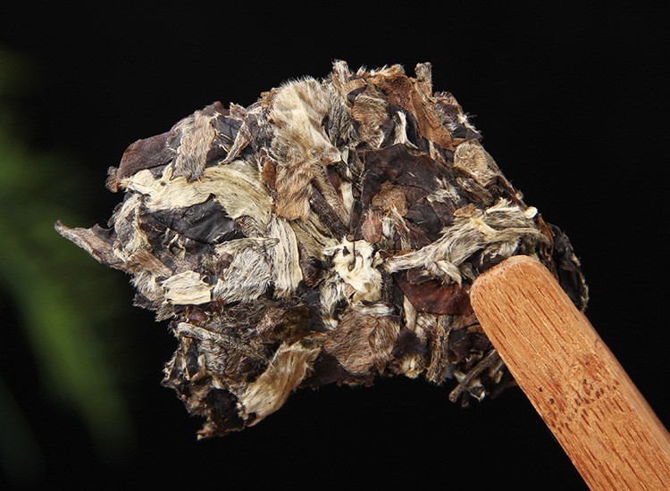 Yunnan Yue Guan Bai Puer MoonLight 100g Yunnan White Tea Buds Raw Ancient Tree