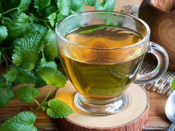 Organic Lemon Balm – 1 lb (16oz) – Herbal Tea – 100% Certified Organic