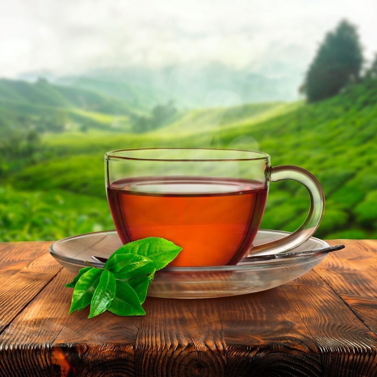 Red Rose Orange Pekoe Tea Bags 72Ct, (Imported From Canada)
