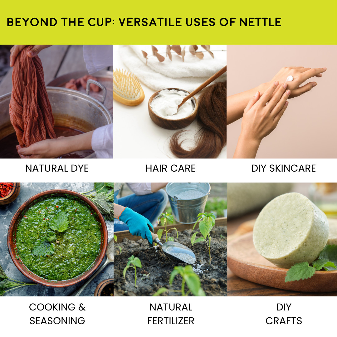 Organic Nettle Leaf – Cut & Sifted | Premium Dried Herb for Culinary & DIY Uses