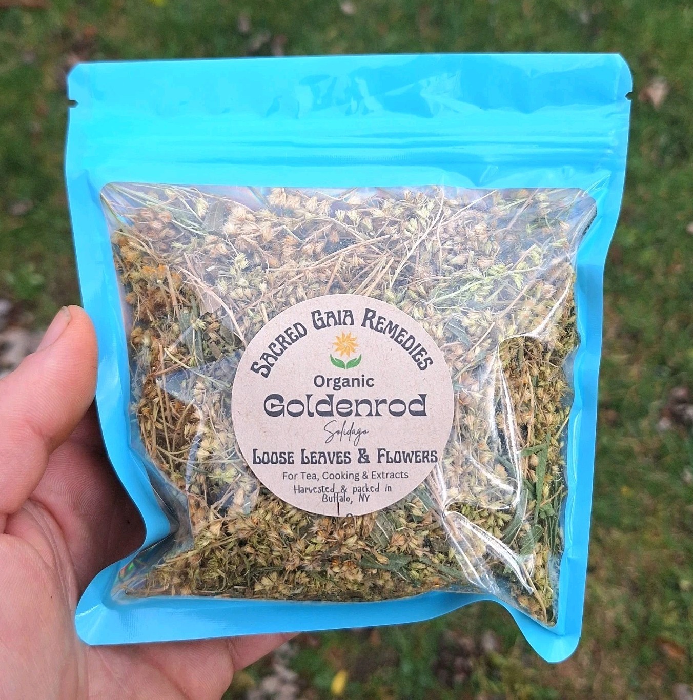 Goldenrod Tea, Sun Dried, Loose flowers & Leaf, Organic Wild Harvested 2025