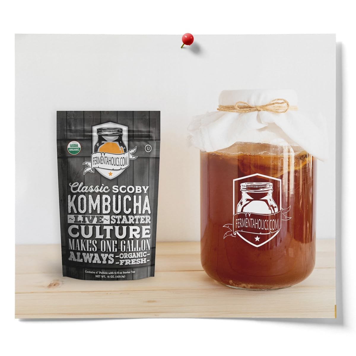 Organic Kombucha Starter Kit 15oz SCOBY Makes One Gallon Brew at Home