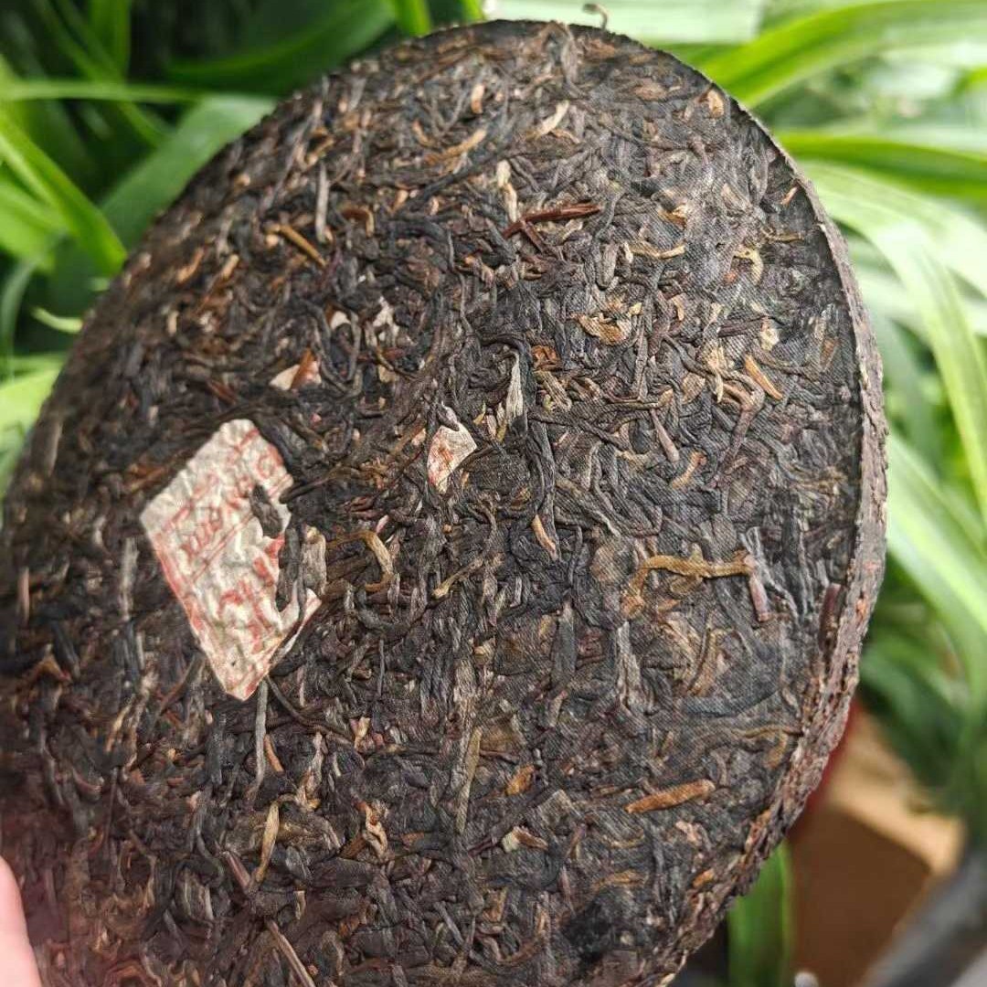 Rare Vintage 1970s Hanoi Brand Red Label Iron Cake Old Raw Pu-erh Tea 400g