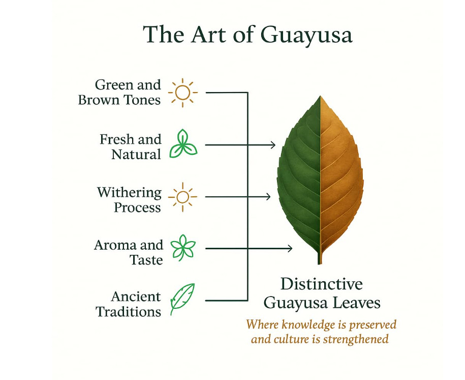 Pacha Guayusa Tea 2LB Organic Loose Leaf 66mg Caffeine Yerba Mate Alt