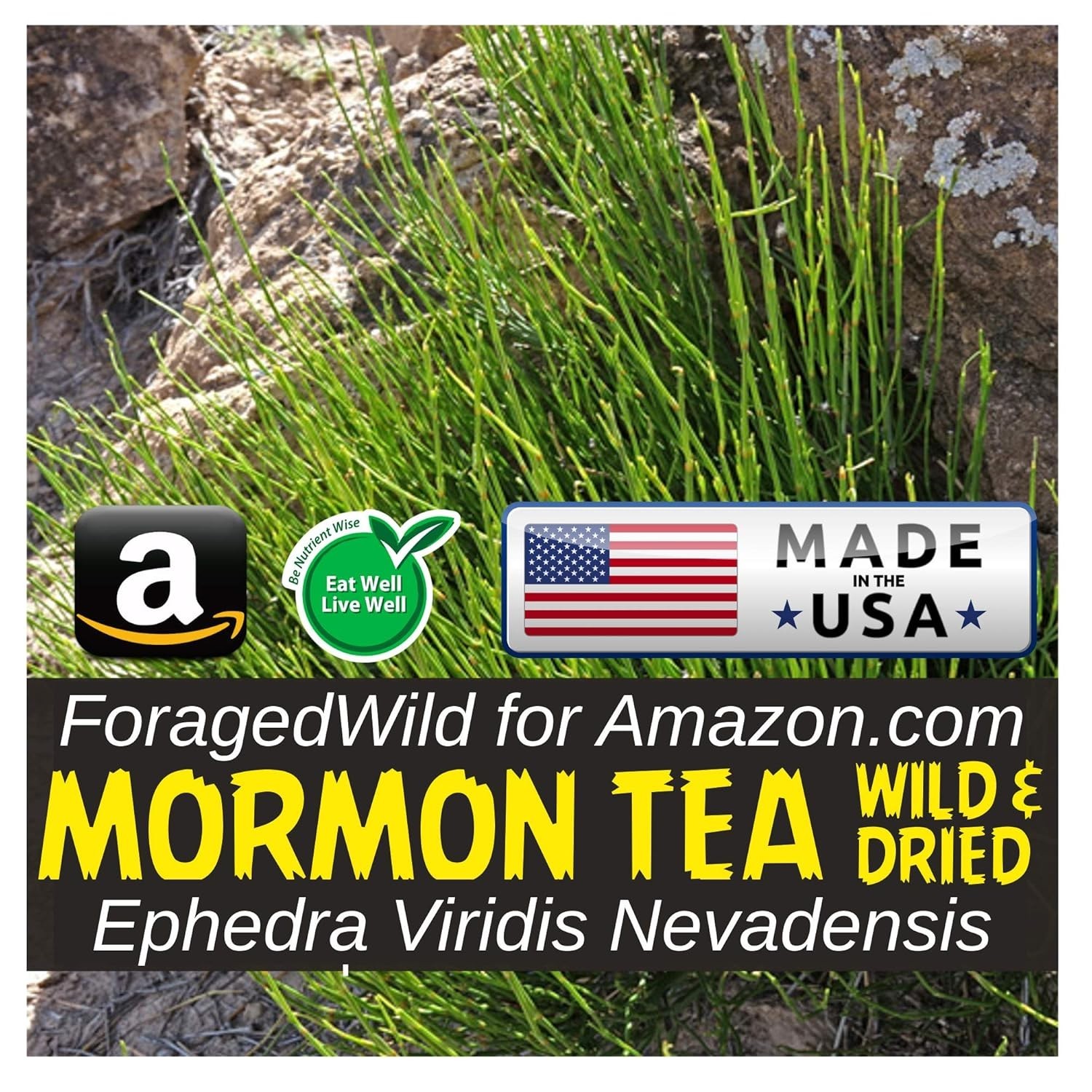 Brigham Tea – Caffeine-Free Herbal Brew