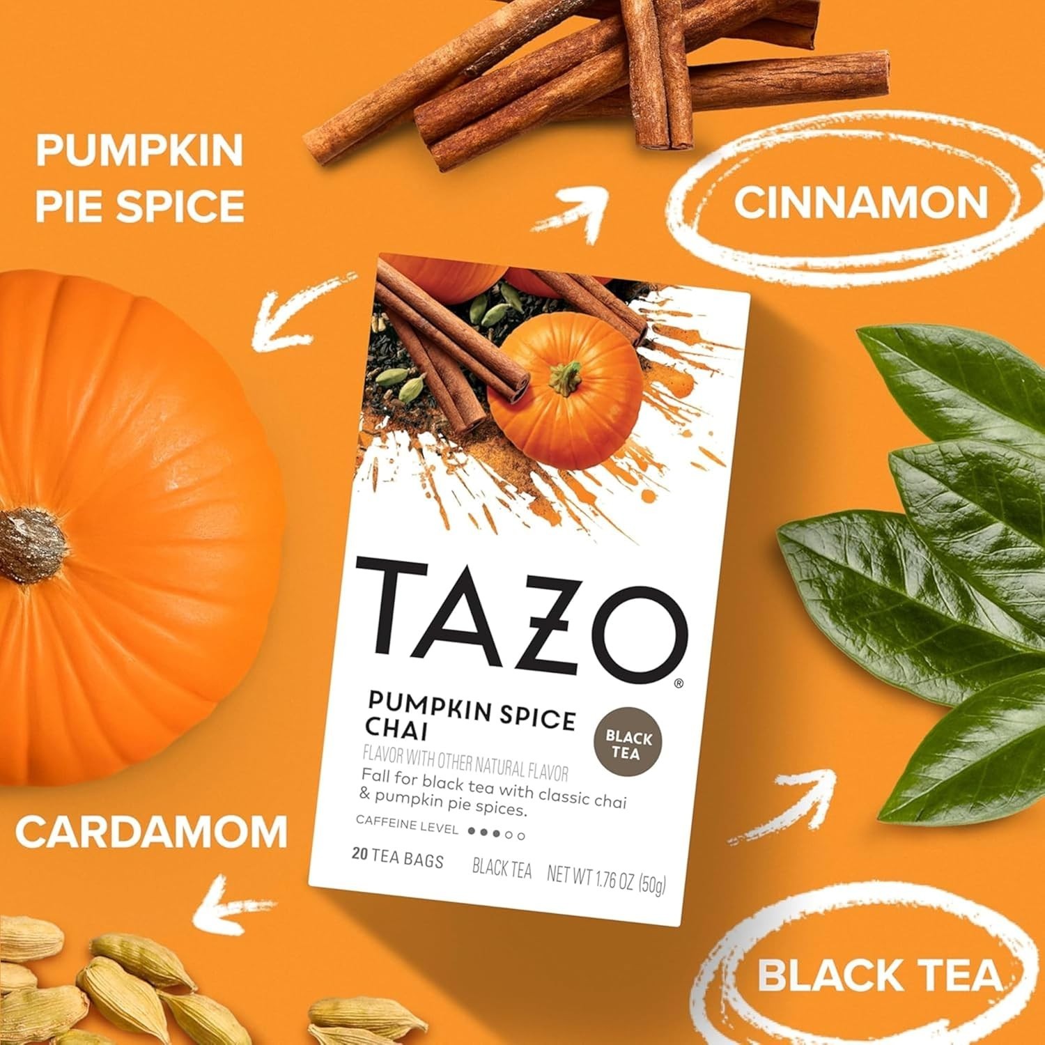 Tazo Pumpkin Spice Chai Black Tea 20 Tea Bags