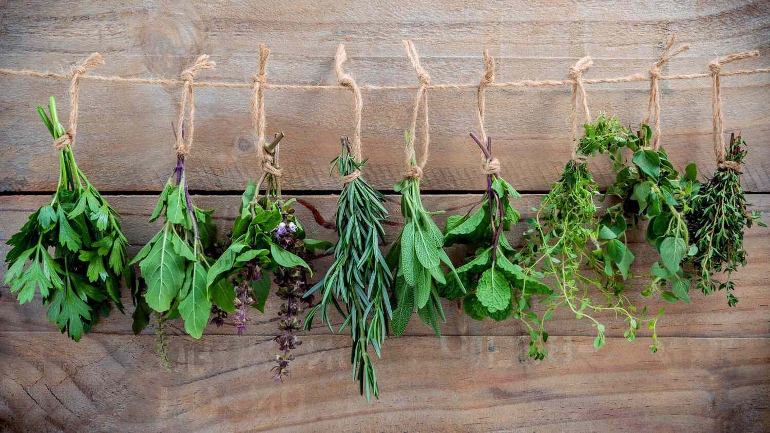 Infertility Herbal Blend