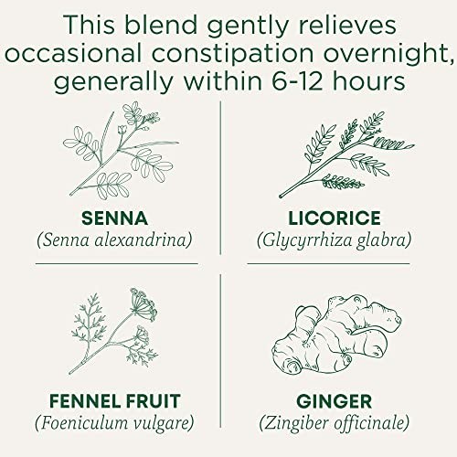 Organic Smooth Move Tea – 96 Bags, Relieves Occasional Constipation, Senna Herba