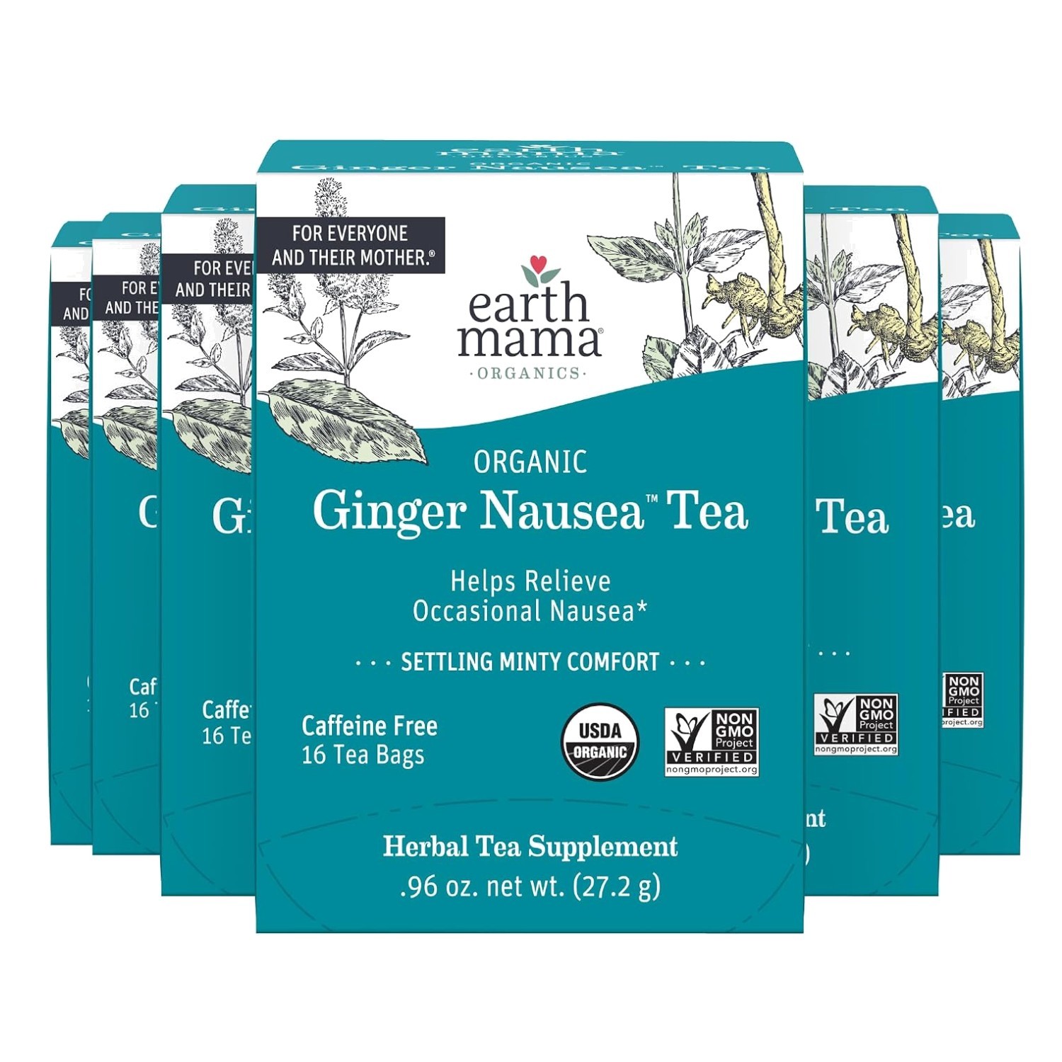 Caffeine-Free Ginger Nausea Tea | Herbal Blend for Digestion