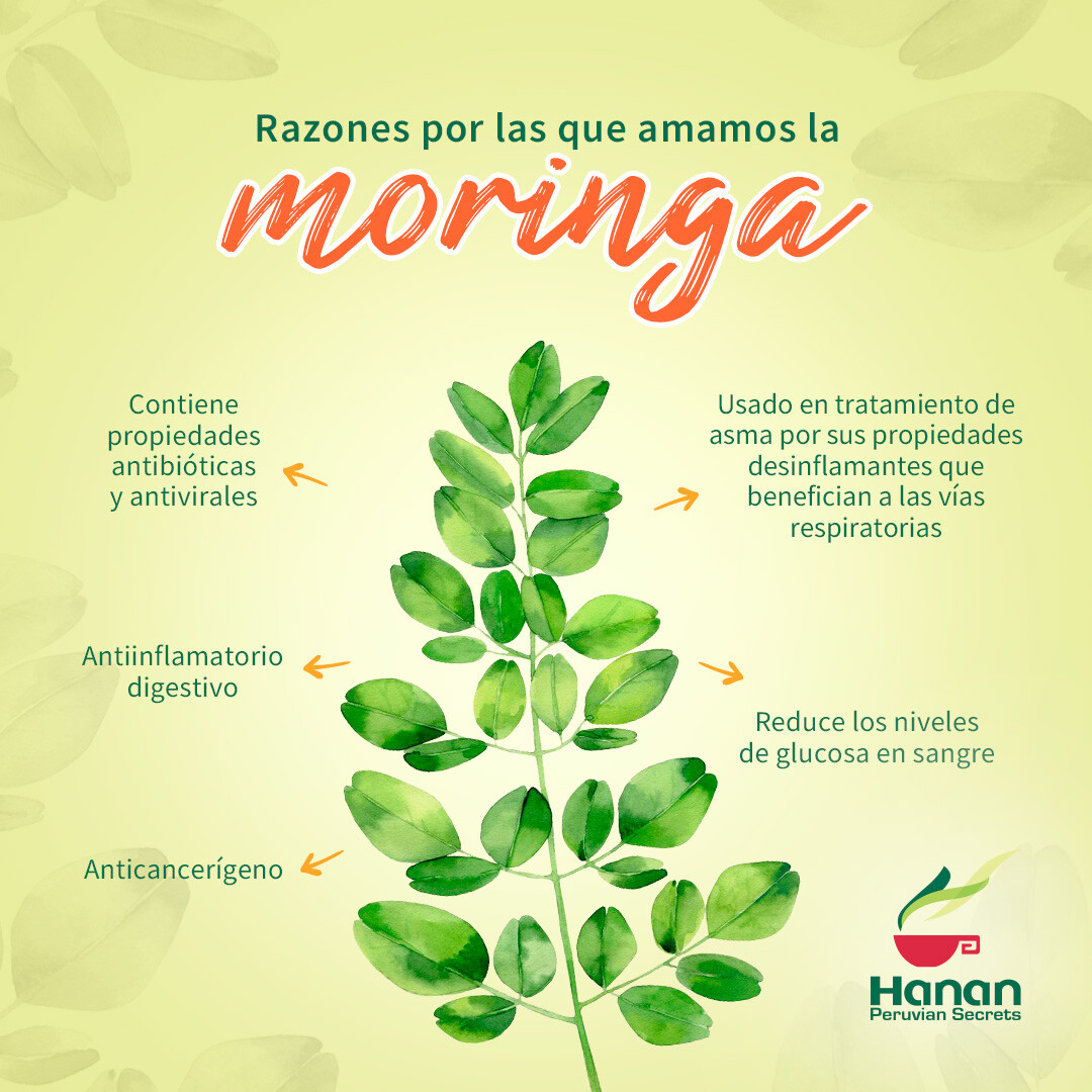 Hanan Peruvian Secrets Moringa Herbal Tea | 100% Natural Moringa Leaves | 1.06oz