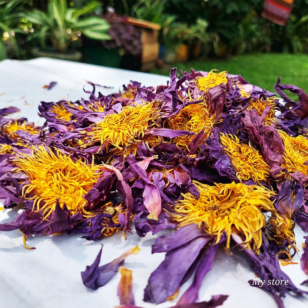 Dried Nymphaea Caerulea Flower 100% Organic Natural Hand Picked Egyptan Tea