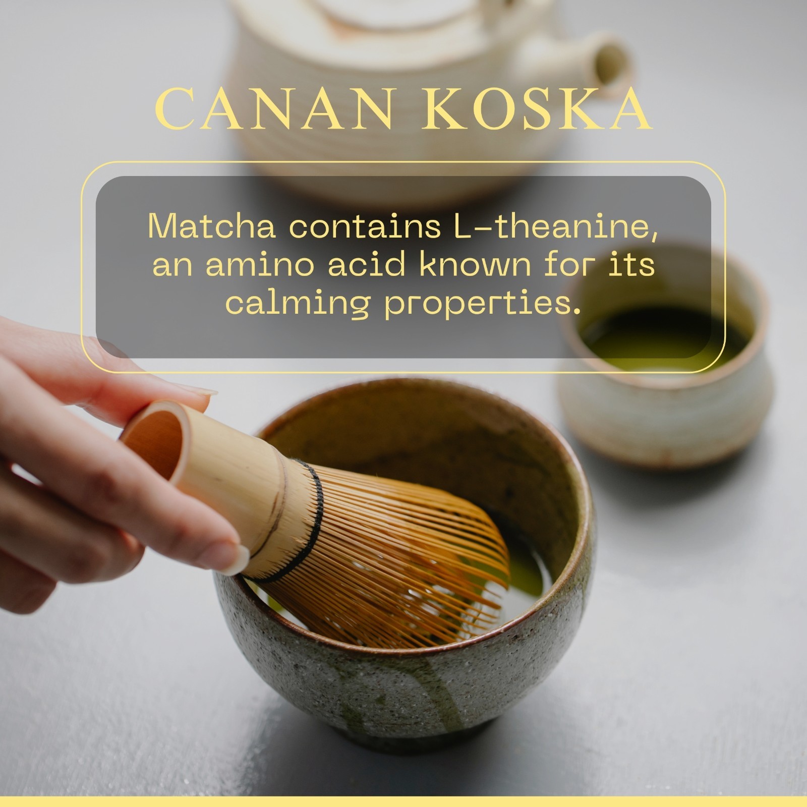 Canan Koska Ceremonial Grade Matcha Powder 1.76oz (50g) Pack of 3