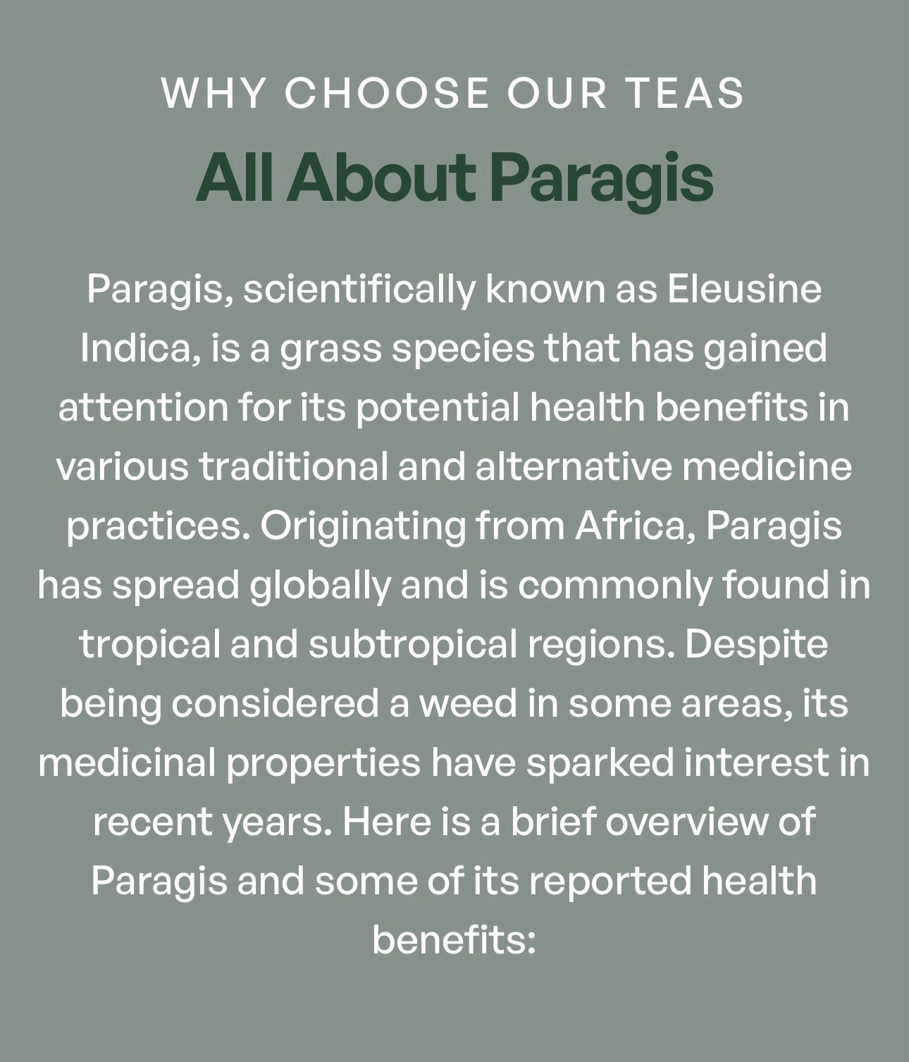 Chef Aybs Paragis Gold 900mg 60 Caps + Paragis Moringa & Guyabano Tea 20 Sachets