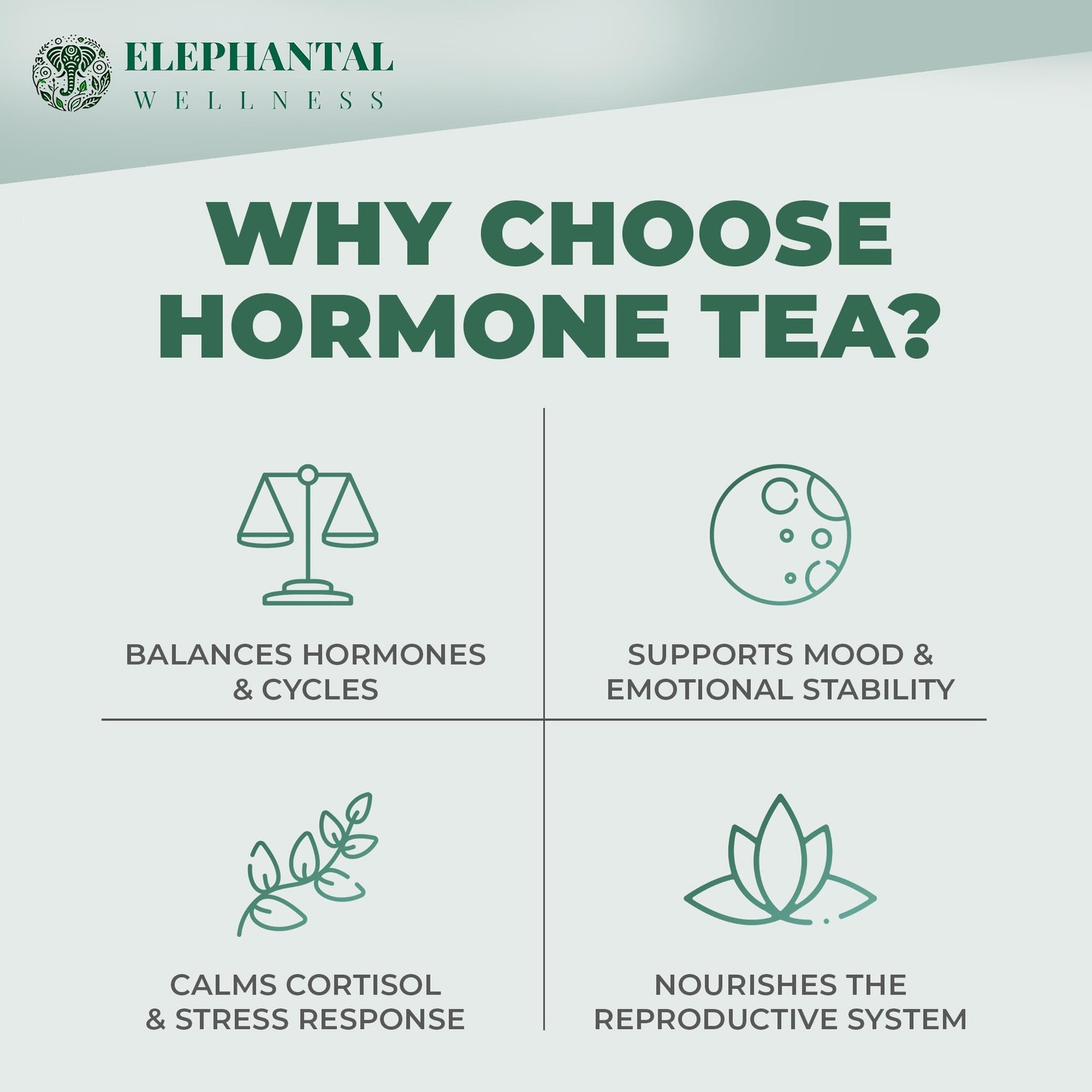 Elephantal Wellness Premium Hormone Herbal Tea | PCOS, Hormonal Balance Mood…
