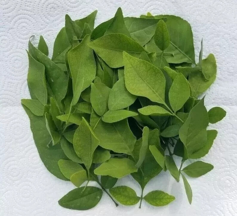 Ceylon Dried Beli Leaf Wood Apple Herbal Tea 40g
