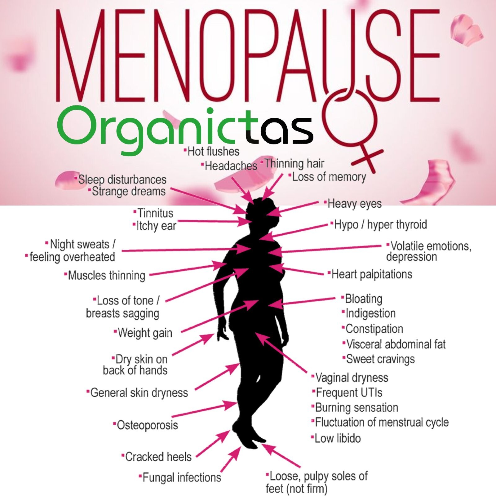 MENOPAUSE RELIEF TEA – 6 Herbs Herbal Tea Menopausal Climacterium Support 100 g
