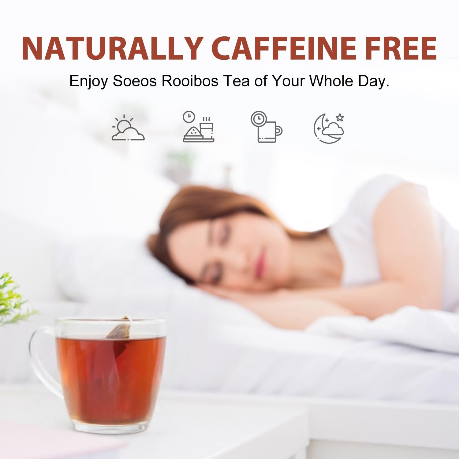 Soeos Organic Rooibos Tea, 100 Teabags, Naturally 100 Count (Pack of 1)