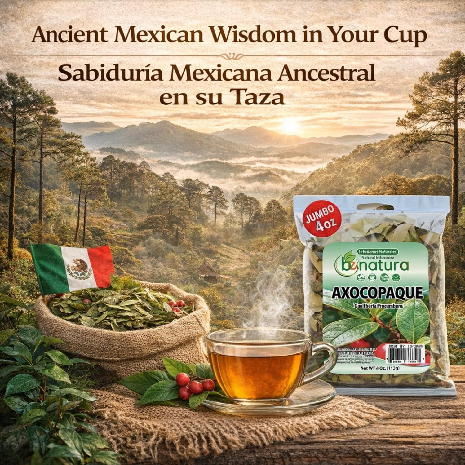 Axocopaque Herbal Tea (4 oz) – VIRAL 100% Natural Gaultheria Mexican Leaves – Au