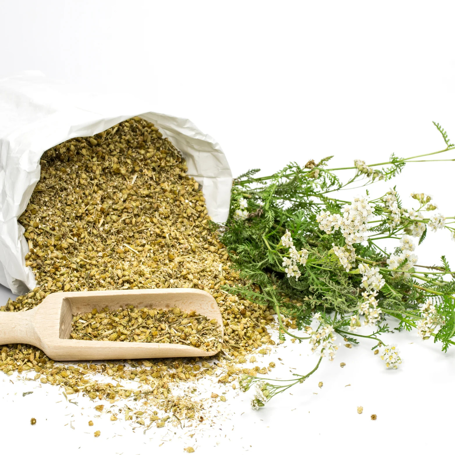 Yarrow Flowers, Flowers Dried, Flowers Whole, Dried Herbs, Food Grade Herbs