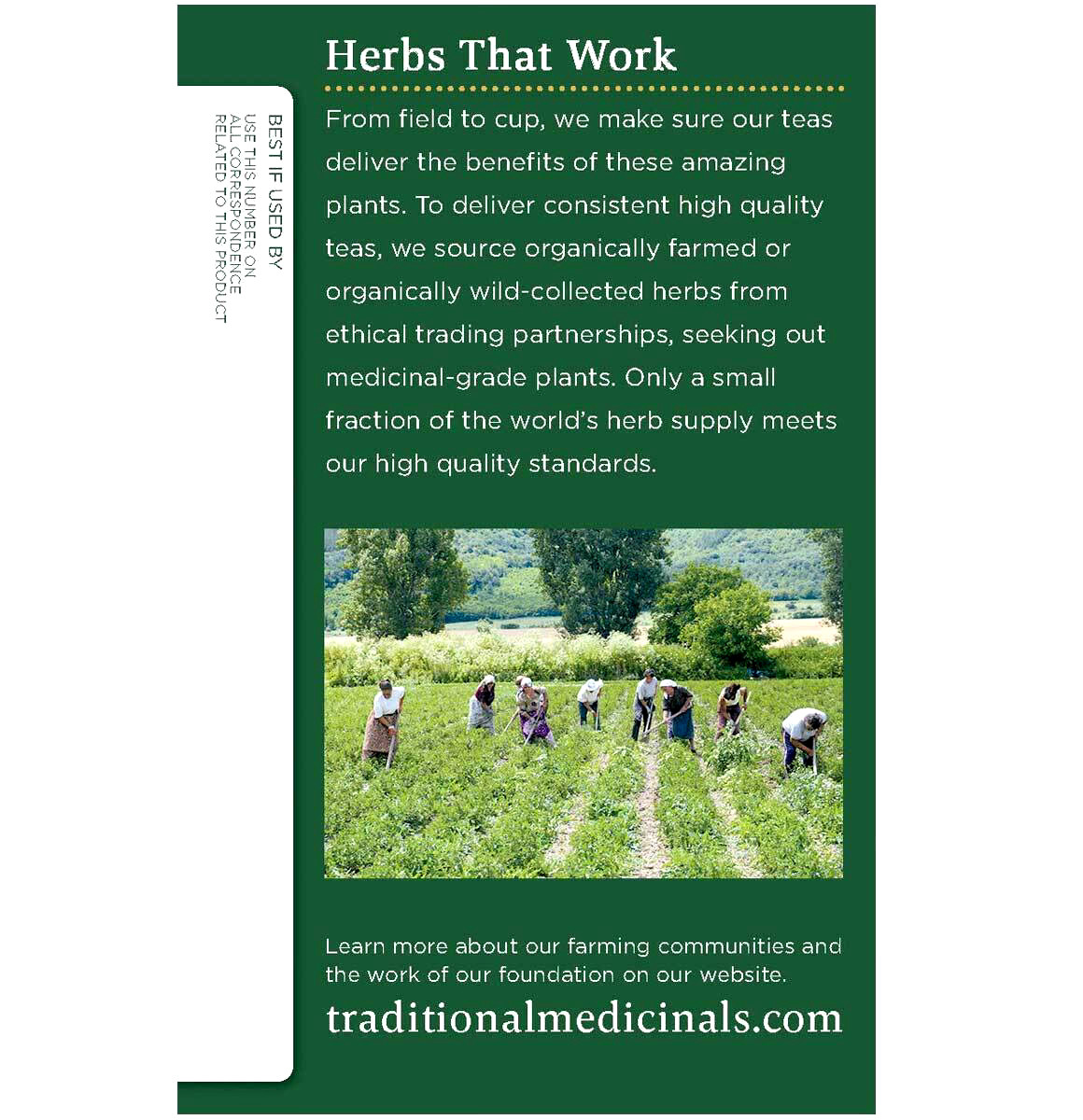 Traditional Medicinals Tea Bags Organic Nettle Leaf – 16 Ct – Pack of 4