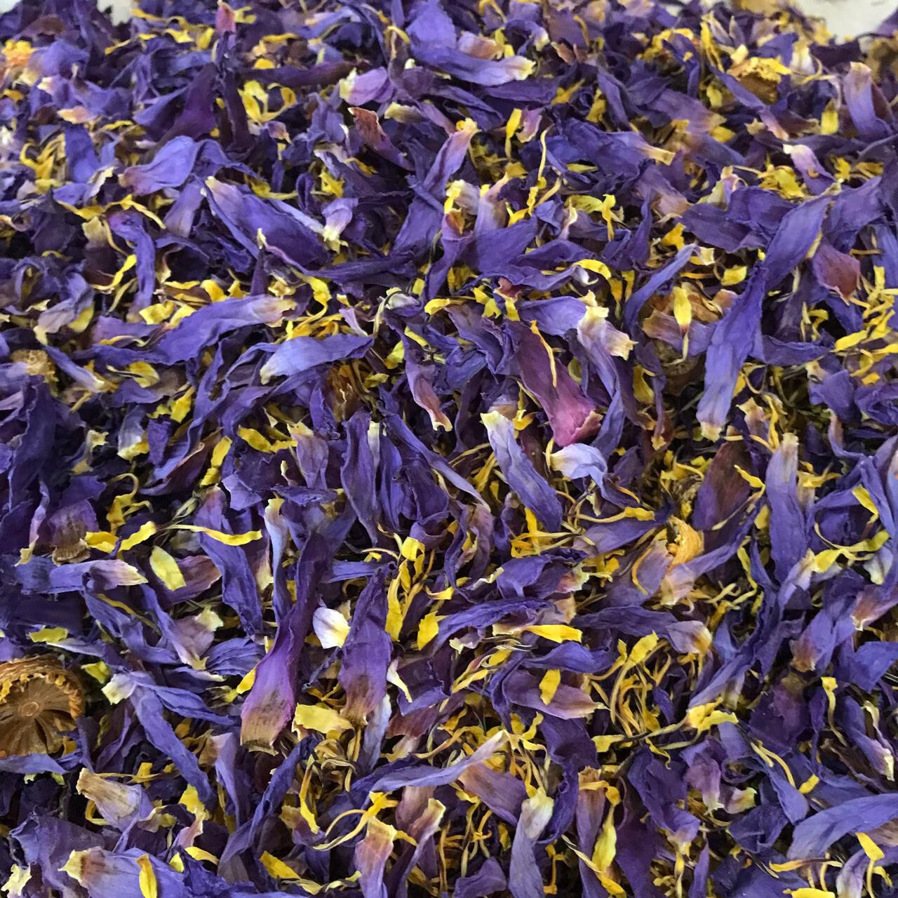Ceylon Egyptian Cut Blue Lotus Nymphaea Caerulea Hand Picked Herbal Organic Tea