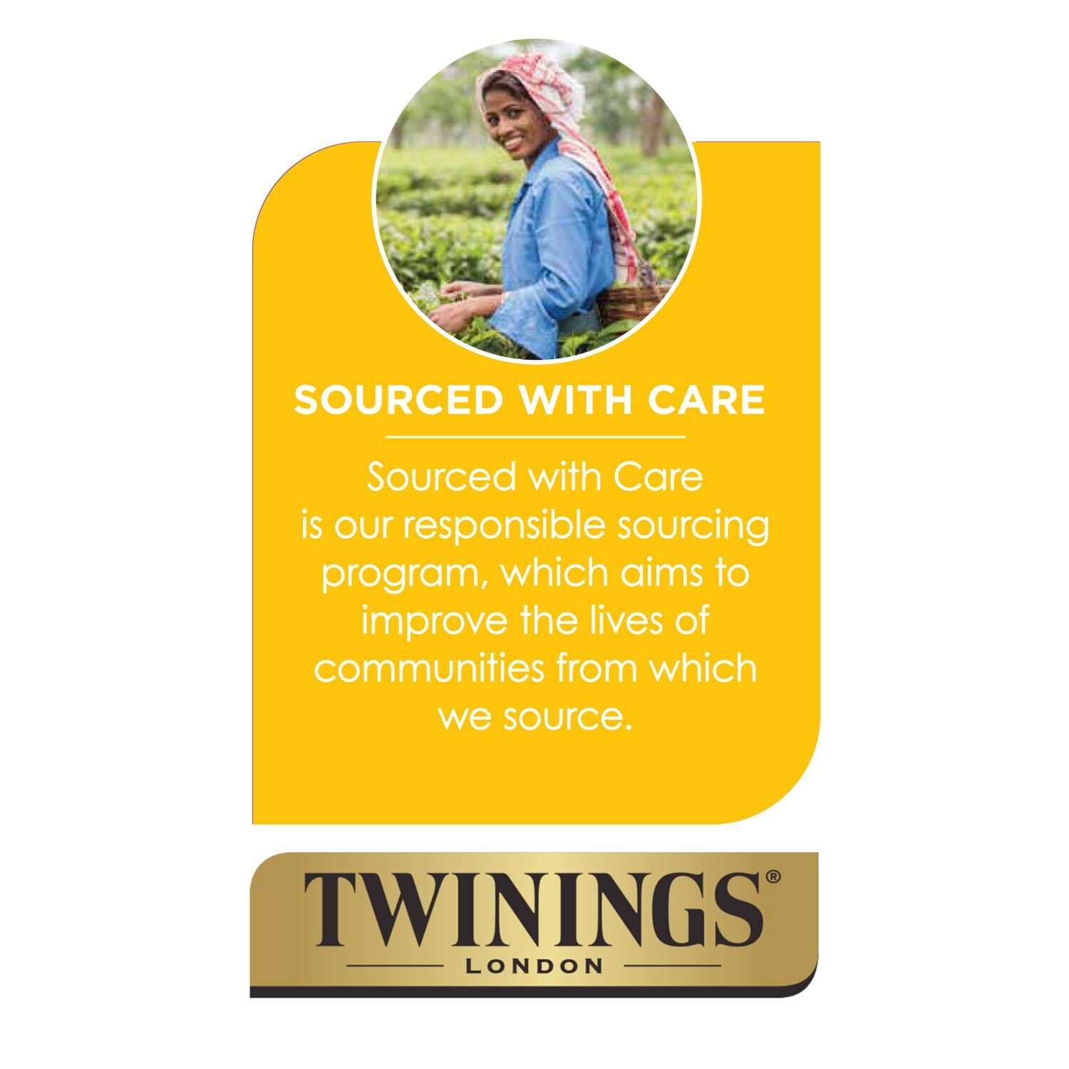 Twinings Darjeeling Tea 50 Count Sophisticated Black Tea Bag Set