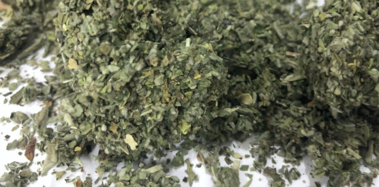 MEDICINAL Healing Marshmallow Leaf! – Bulk Organic HERB! – 1/8 oz ounce SAMPLE