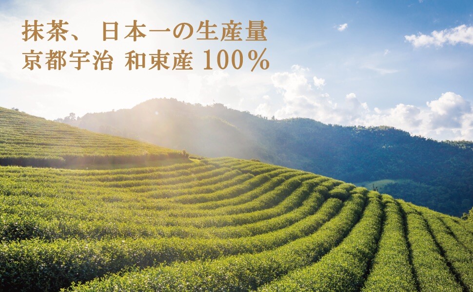 Matcha Japanese Green Tea Powder Morihan 100g Resealable Bag Fast Free Ship