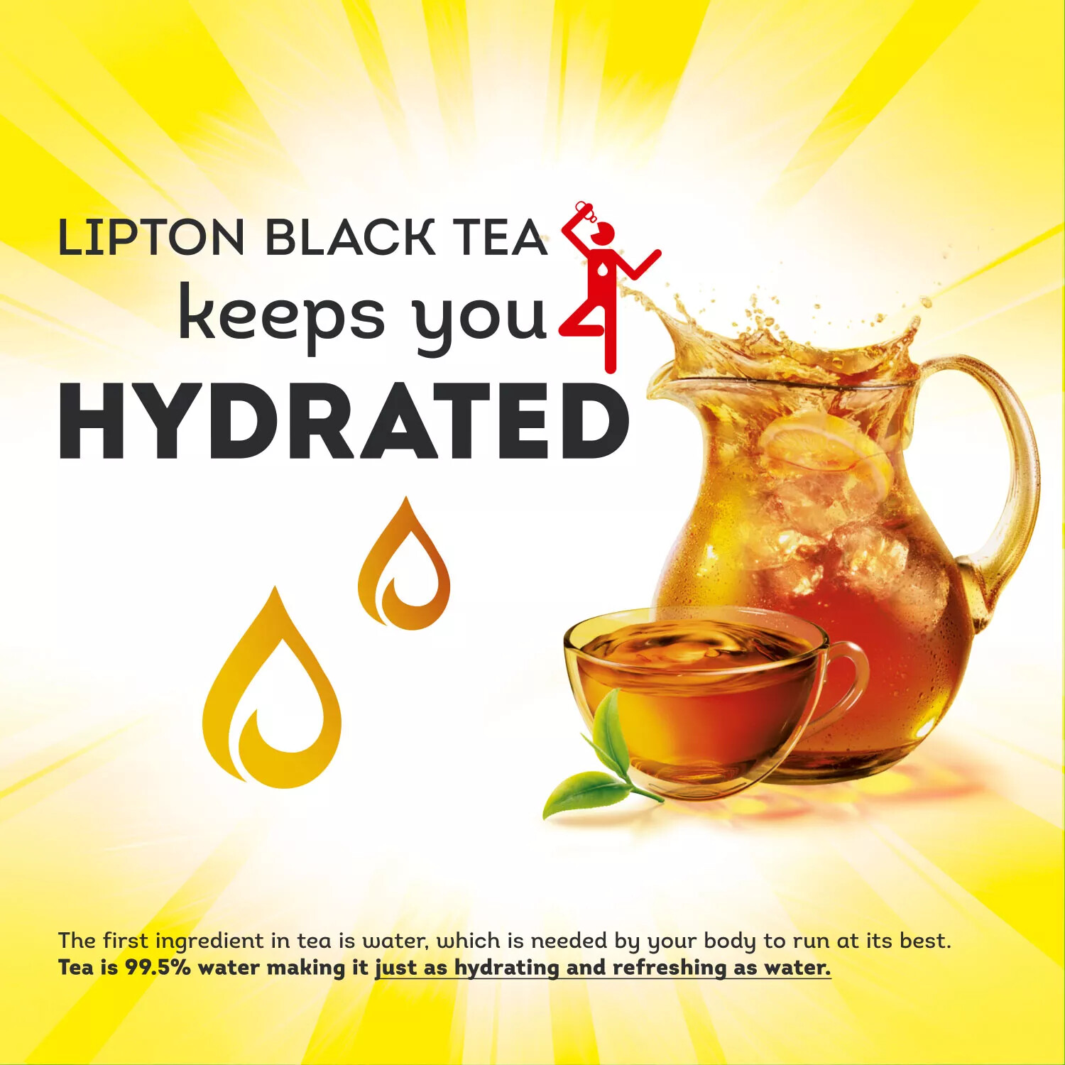 (ONE BOX) LIPTON ICED TEA BAGS GALLON FAMILY SIZE, UNSWEETENED, PEKOE (48 BAGS)
