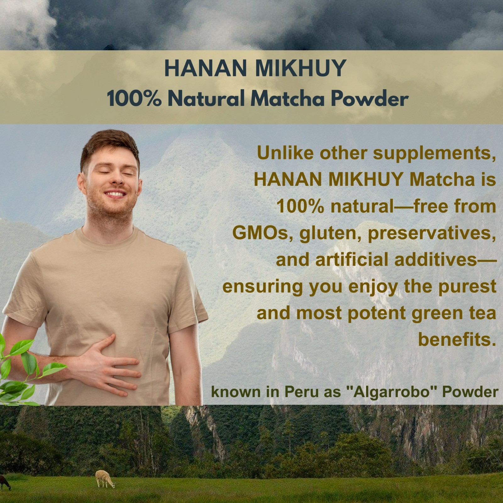 Matcha Green Tea (Té Verde) Powder (Molido) from Peru Andes 100% Natural