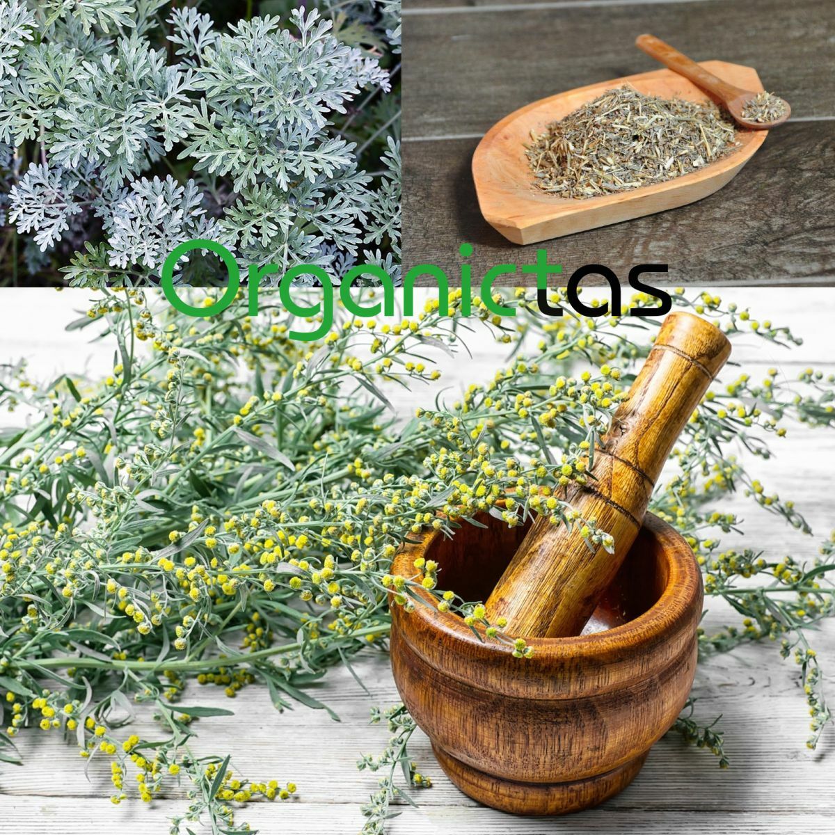 Artemisia Absinthium Organic Wormwood Tea – Best Premium Quality Health Benefits