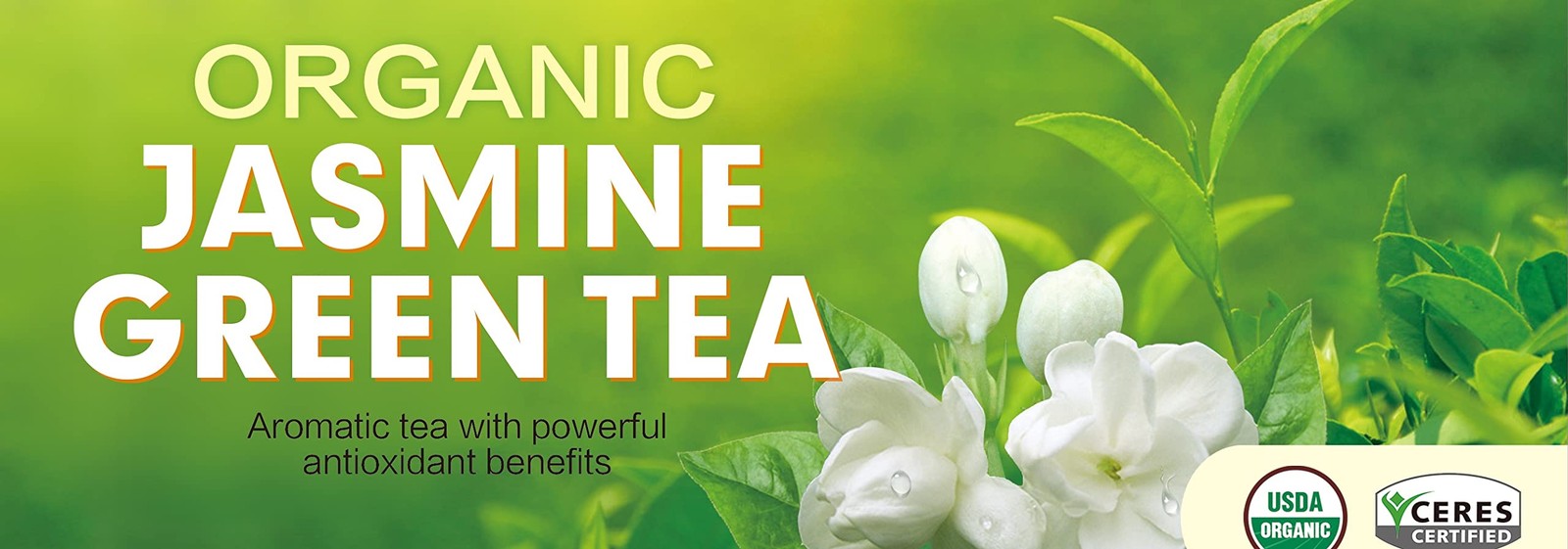 Organic Jasmine Green Tea Bags 100 Count Individually Wrapped | Lower Caffein…