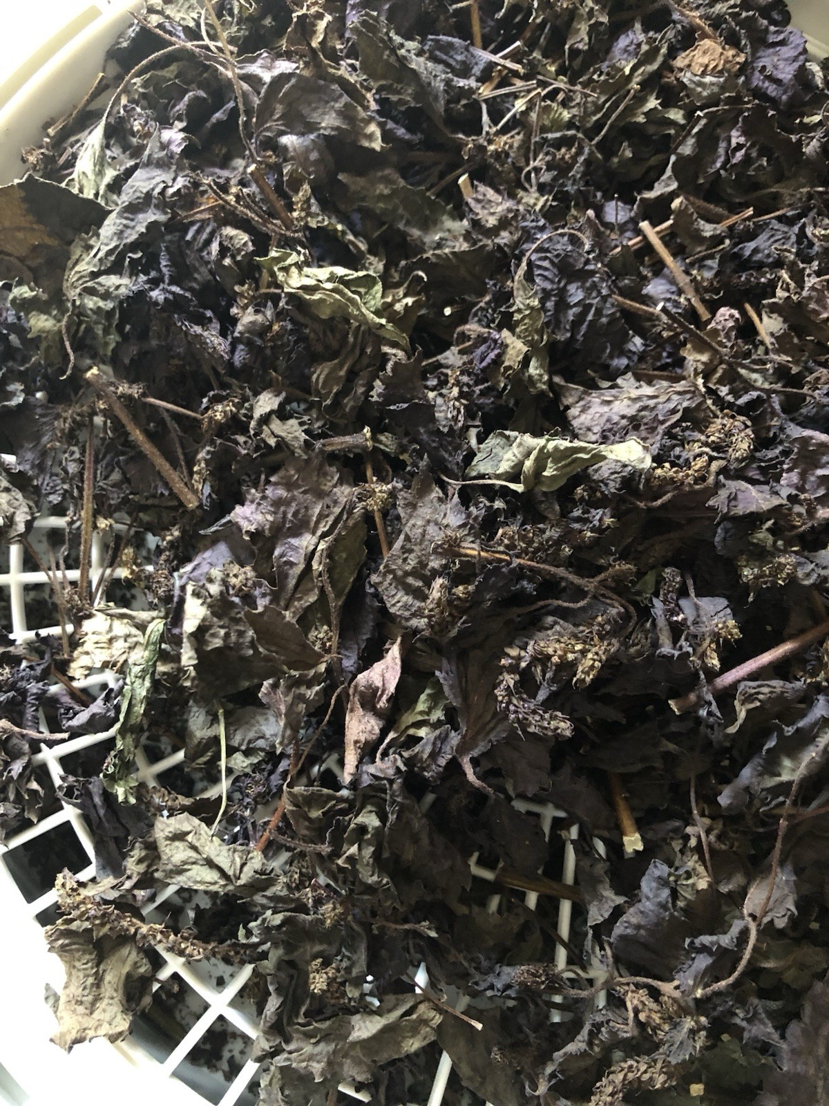 Dried Purple Shiso/ Perilla 2025 Harvest 6 oz Ready for Use 干紫苏叶