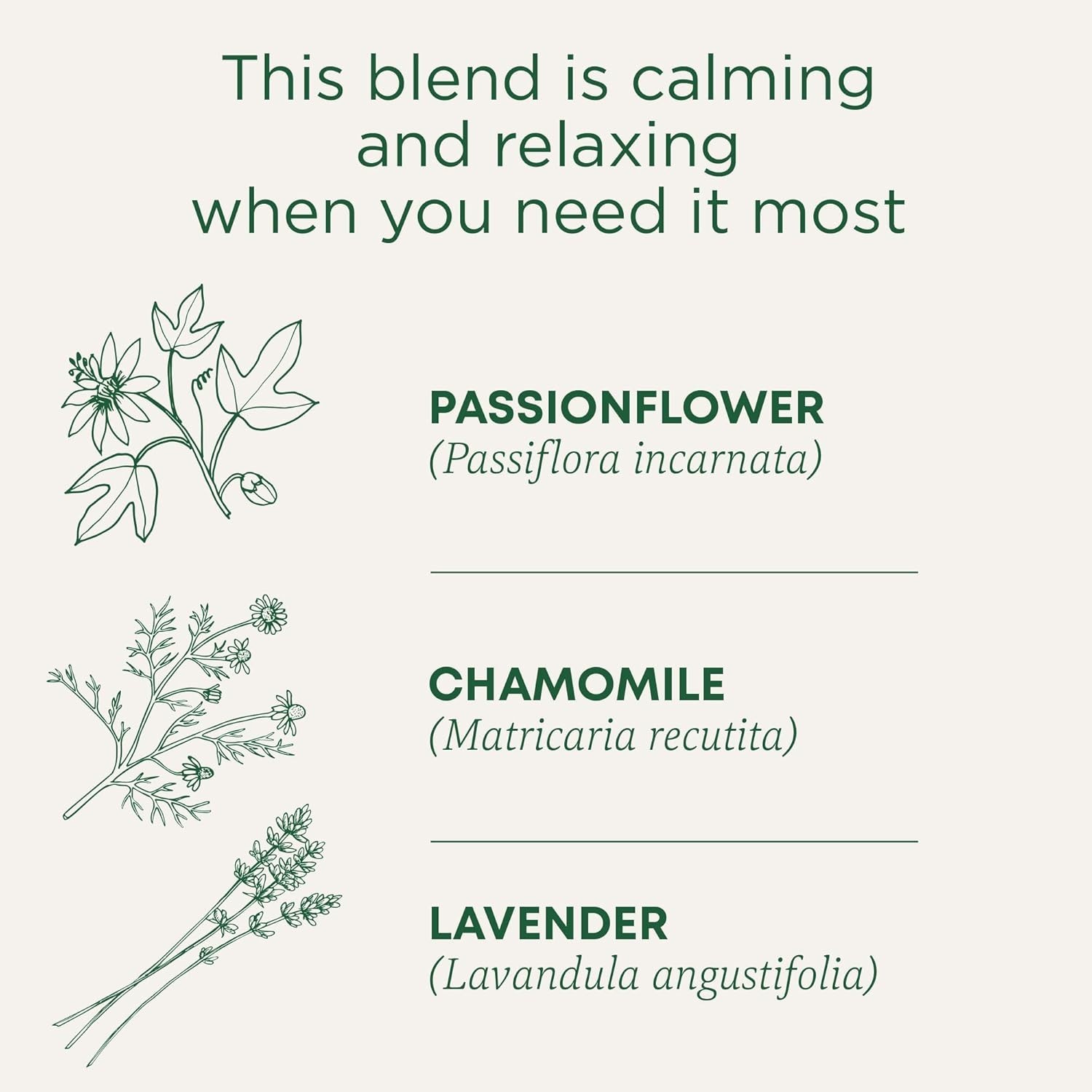 Relaxing Organic Chamomile Mint Tea – Perfect for Calm Evenings, 16 Bags