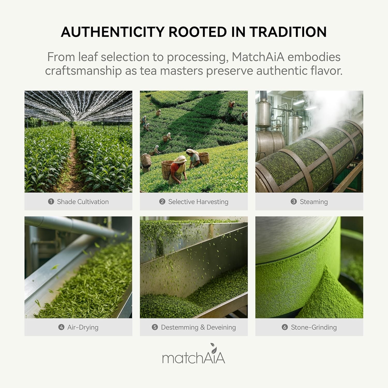 Organic Matcha Green Tea Powder – Premium 60g / 2.1oz Pouch