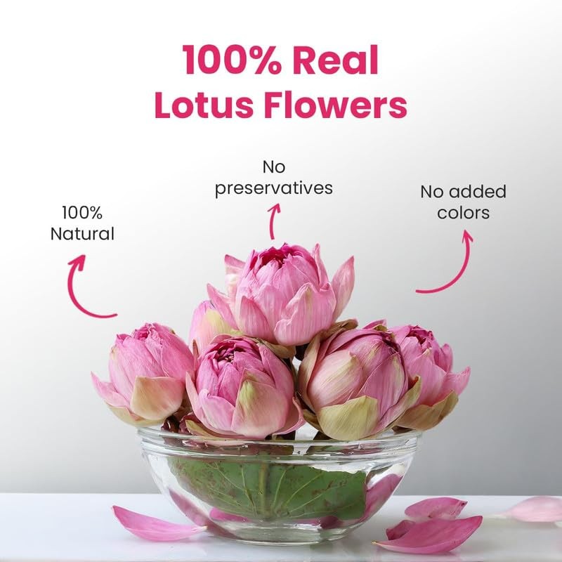 – Pink Lotus Flower Tea – 1.40 Oz – 20 Cups | SUPER ANTIOXIDANT | Refreshing …
