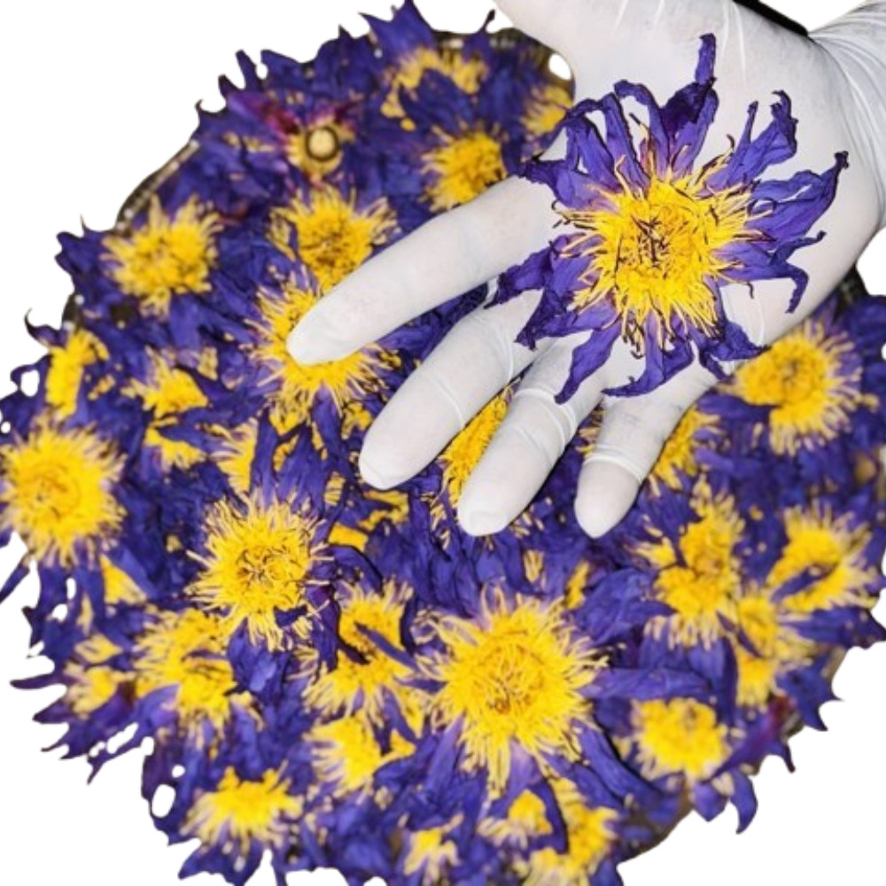 25g -250g Dried Blue Lotus Cut Flower Pure Nymphaea Caerulea Organic