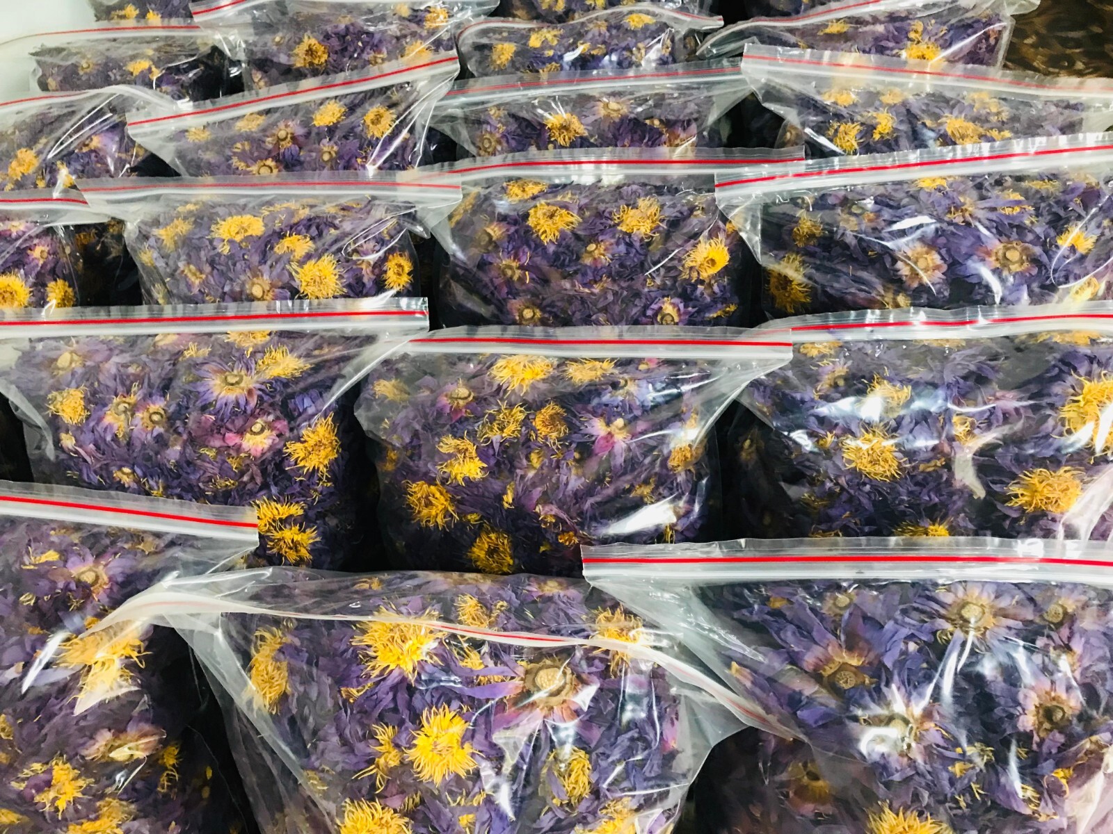 Egyptian Blue Lotus Nymphaea Caerulea Organic Pure Hand Picked Flowers Herbal