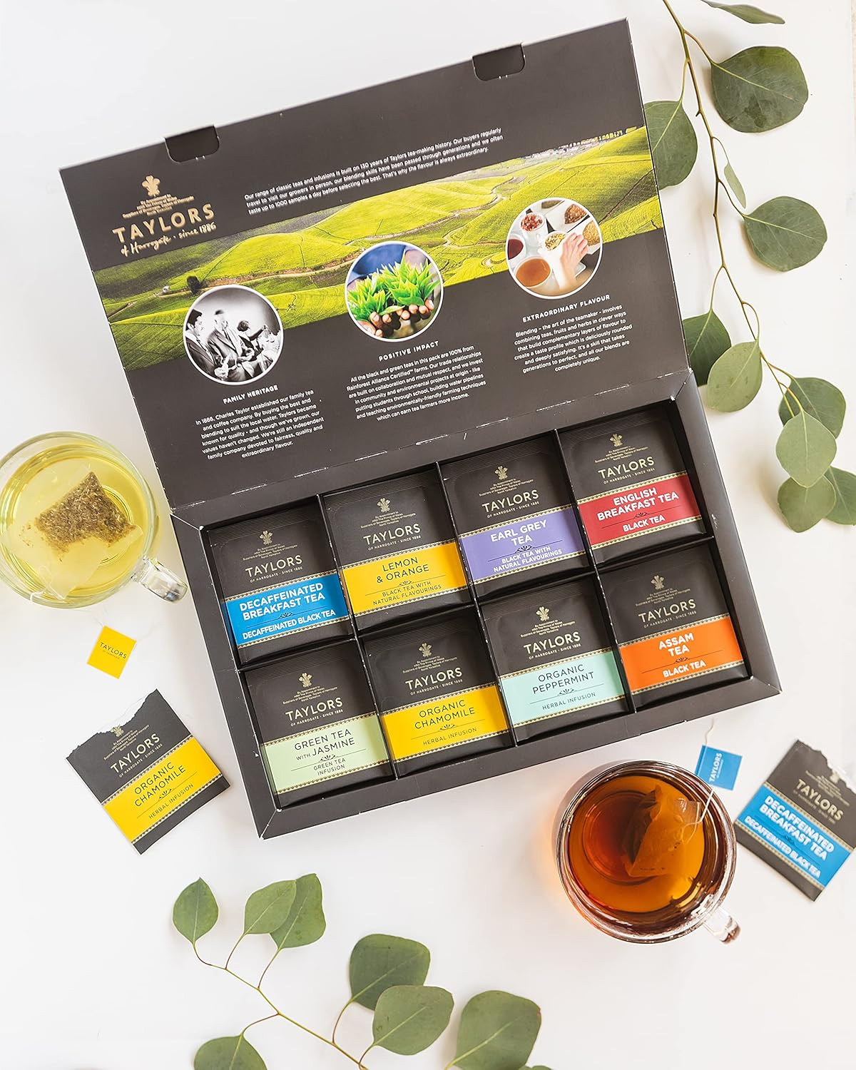Assorted Specialty Teas Box , 48 Count (Pack of 1)