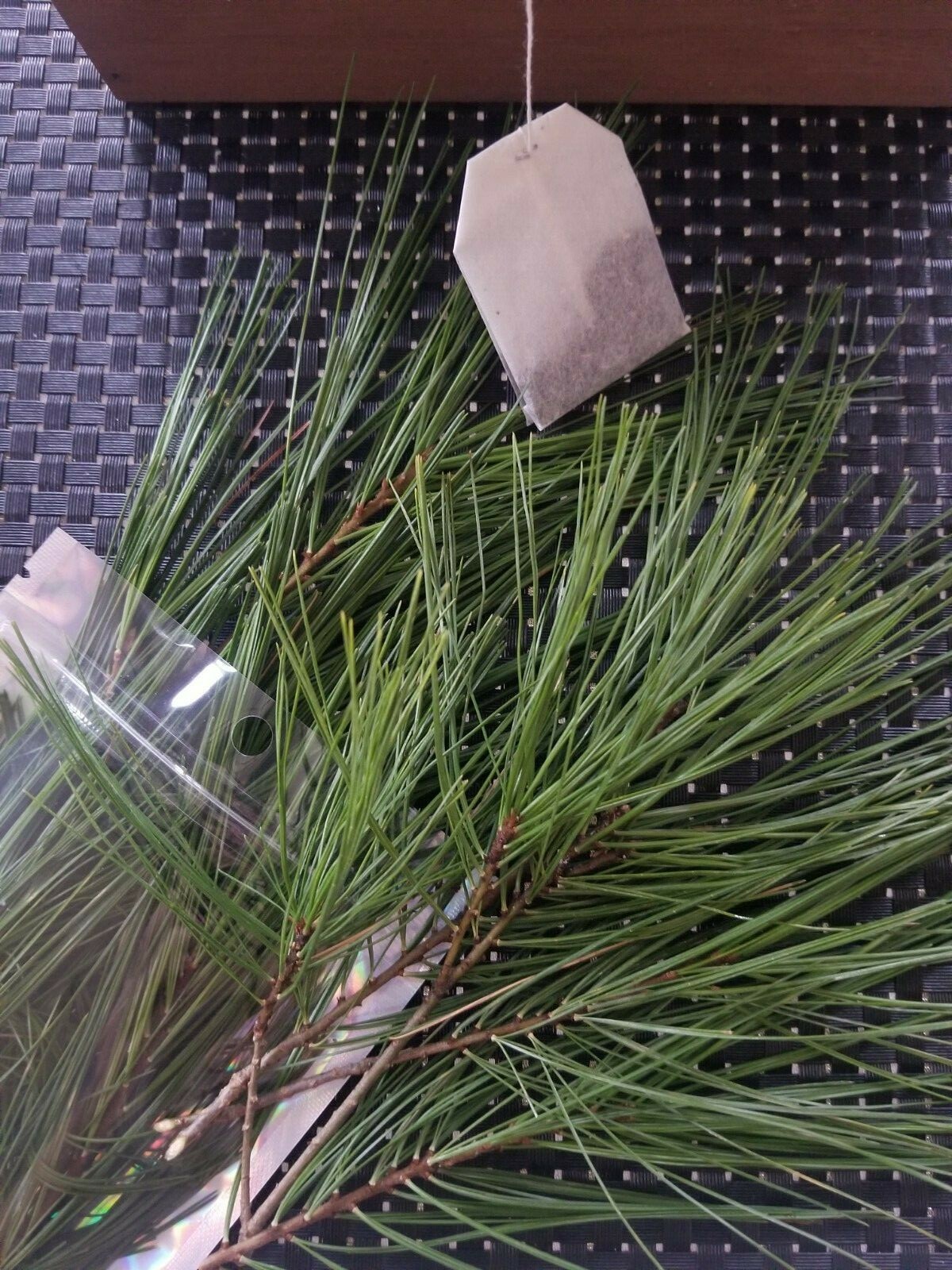 Eastern Pine Tree Tea 🍵 Immunity Boosting /Actively Fights against Infections/