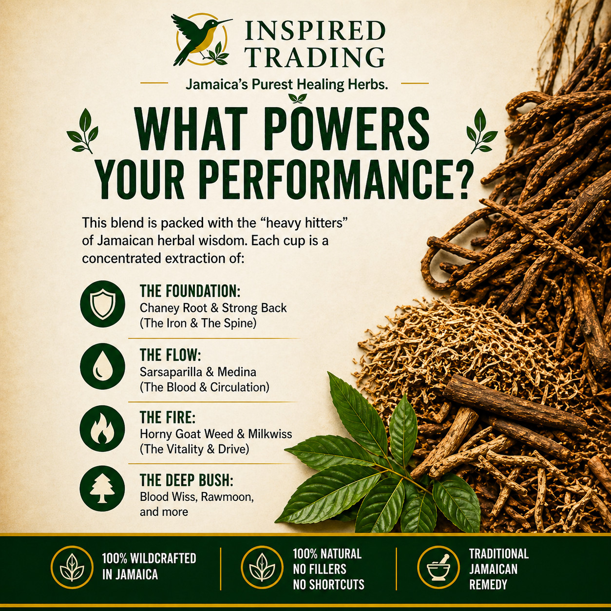Jamaican Caveman Brew – Strong Back Tea- 7 Powerhouse Roots-Stamina & Energy