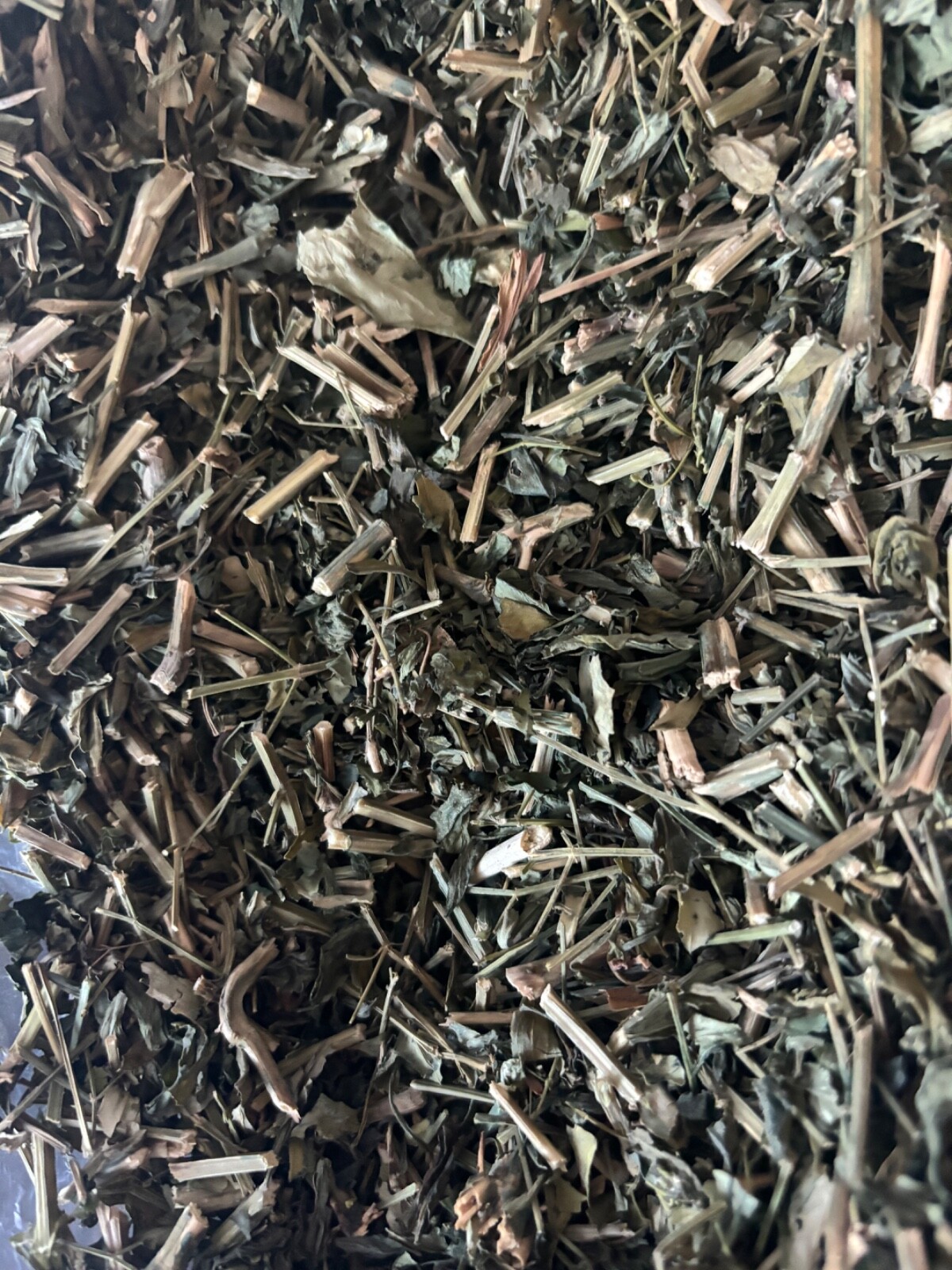 Andrographis Paniculata – 2 oz . King of Bitters High Quality Thailand Herb