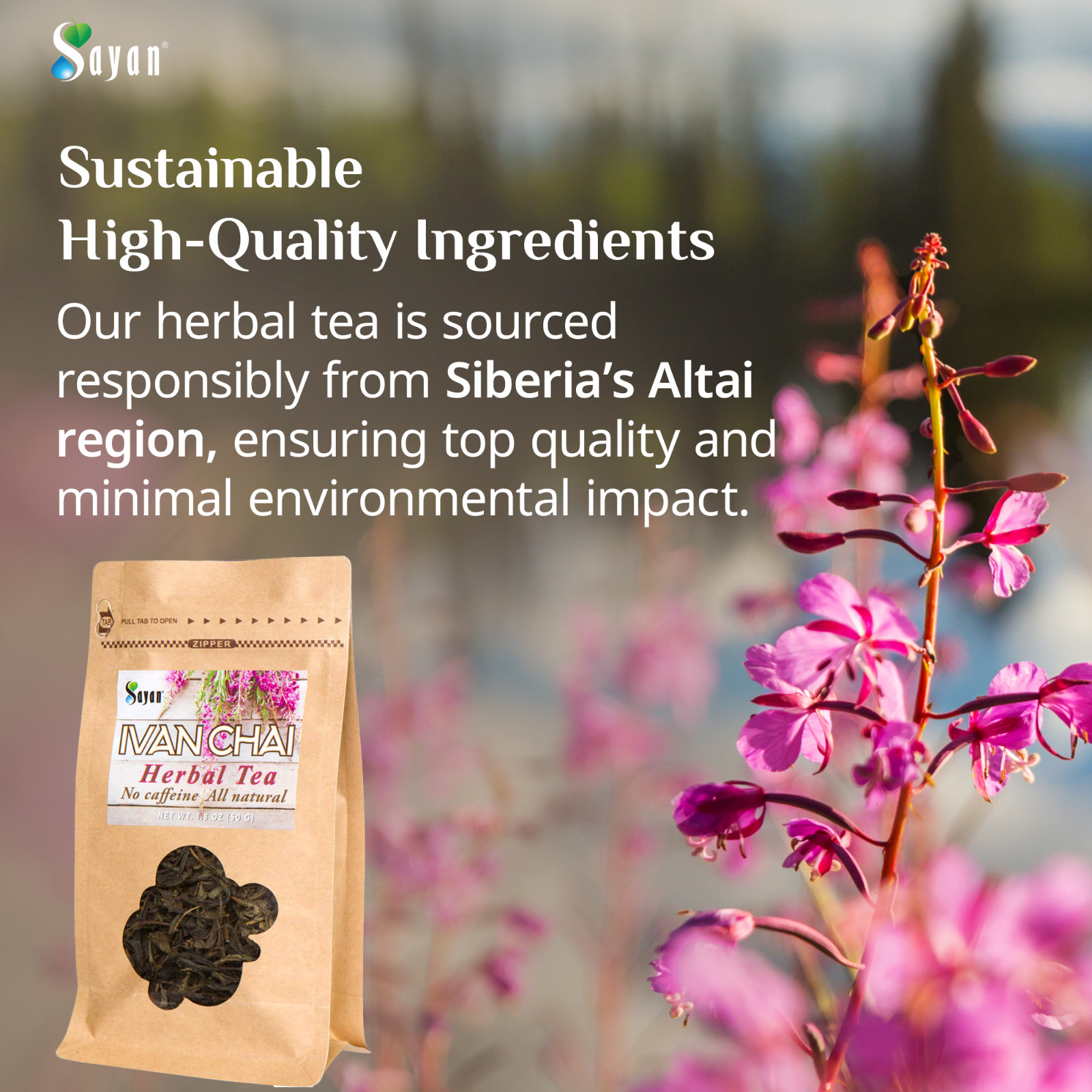Willow Herb Leaves Tea Rosebay Fireweed Ivan Chai Caffeine Free Beverage 1.8 oz