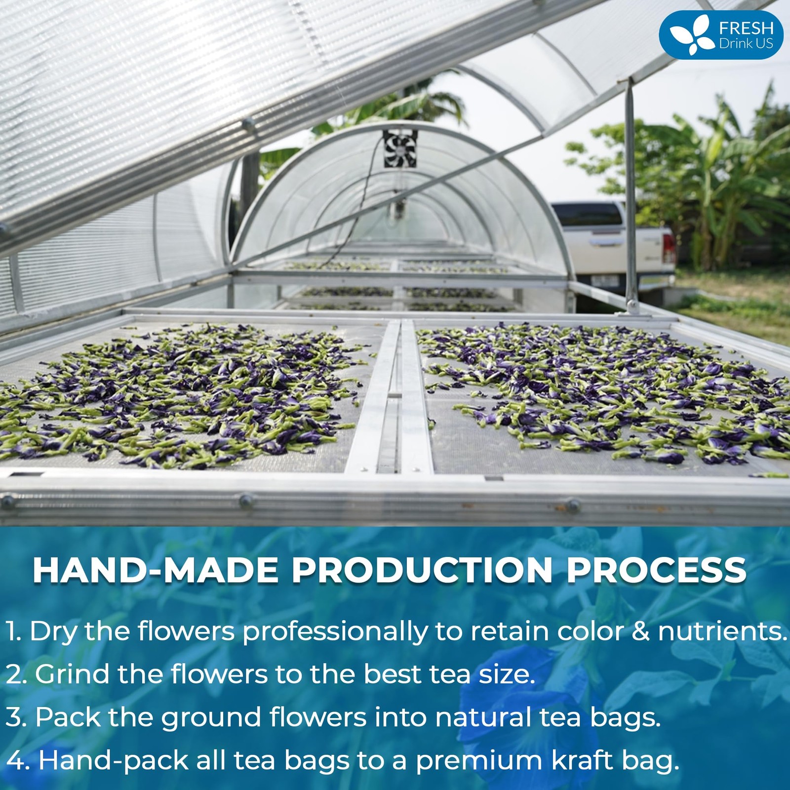 FreshDrinkUS, Premium 75 Tea Bags Blue Butterfly Pea Flowers, 75