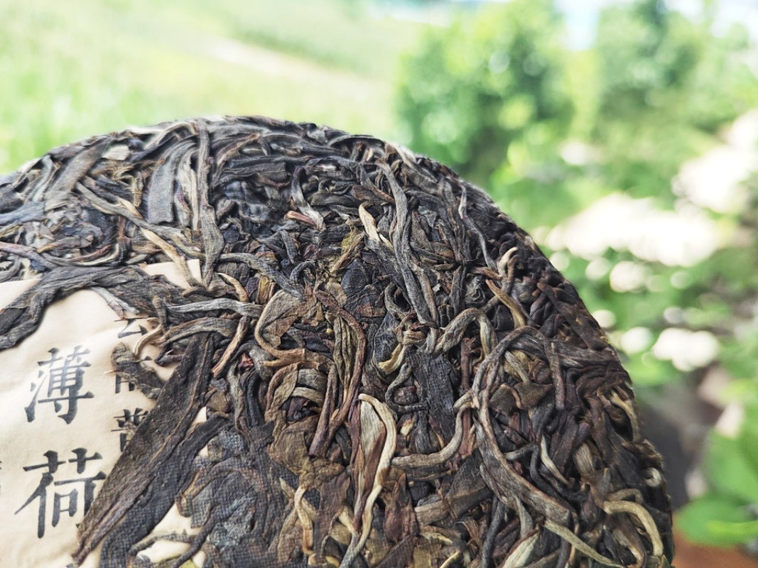 200g Spring Tea Yi Wu Mint Pond Ancient Tree Tea 2021 Raw Tea Pu’er Tea Cake